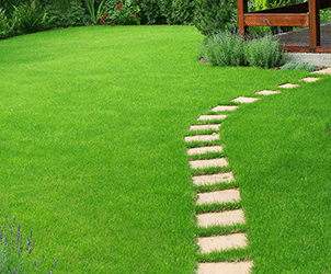 A green lawn with a path leading to a rejuvenating wooden deck.