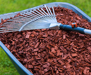 Mulch Installation in a wheelbarrow with a rake, enhancing landscape and curb appeal.