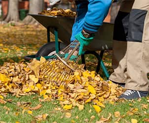 A person conducting yard cleaning by raking leaves into a pile.