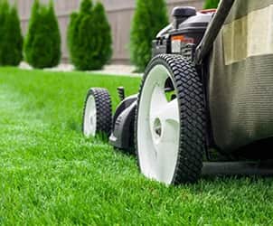 TM Lawn Cares is providing residential lawn mowing services in a yard.