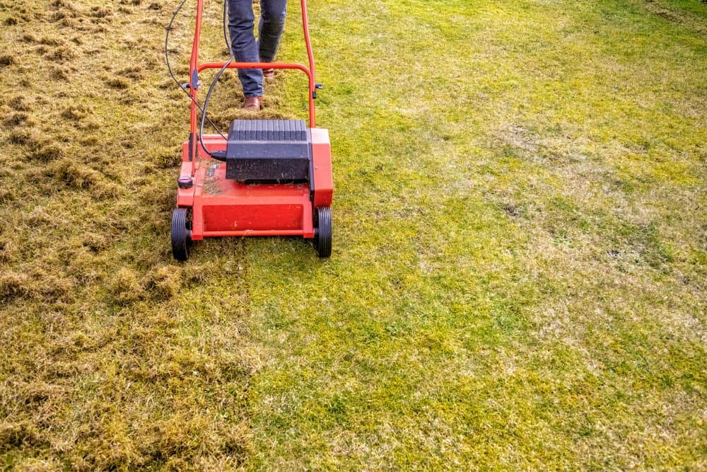 A professional team providing lawn aeration services for healthier and greener lawns.